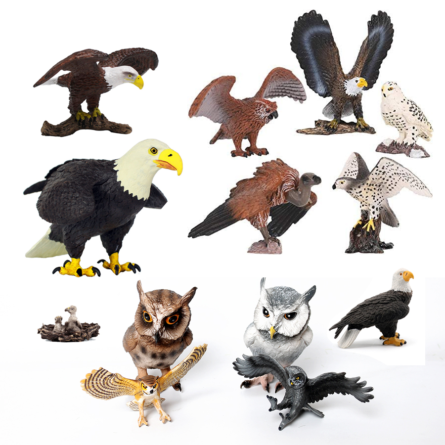 Kids Education Shows - Figurines d'oiseaux de proie en plastique