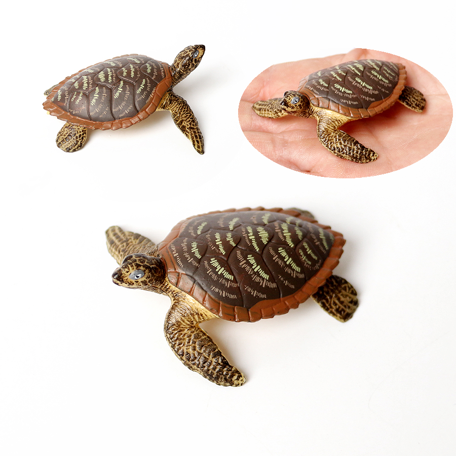 Tortue de mer en plastique réa - Kids Education Shows avis et prix